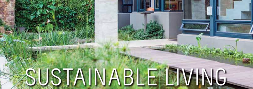 You are currently viewing Green credentials: Get to grips with sustainable living